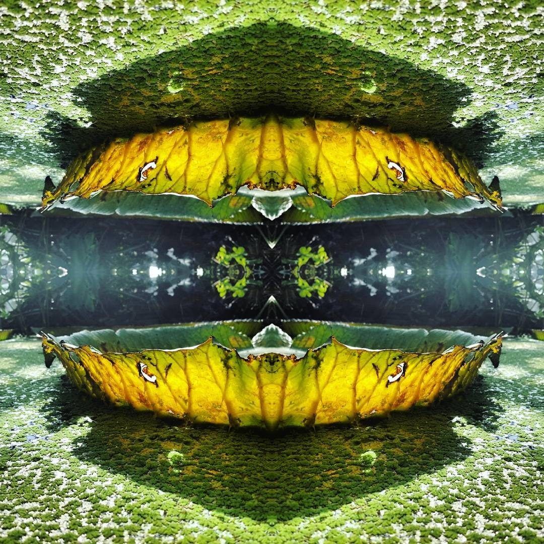 Experiment