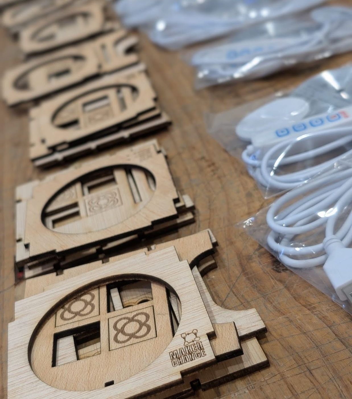 Biomaterial lamp workshops
