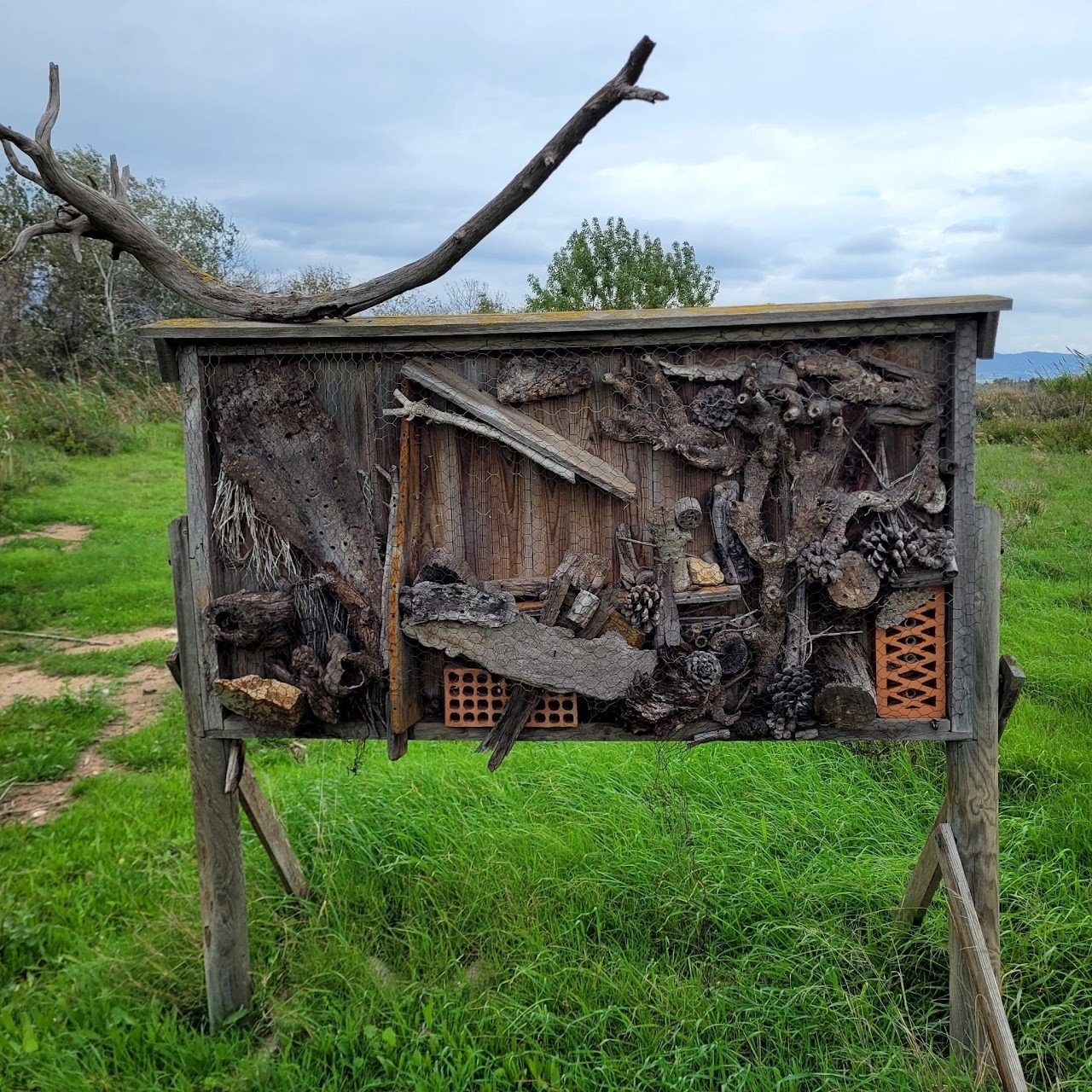 Hyperlocal research