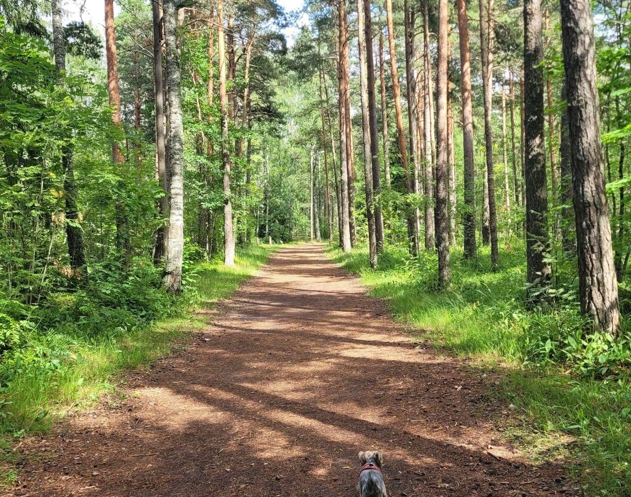 Tallinn 2024