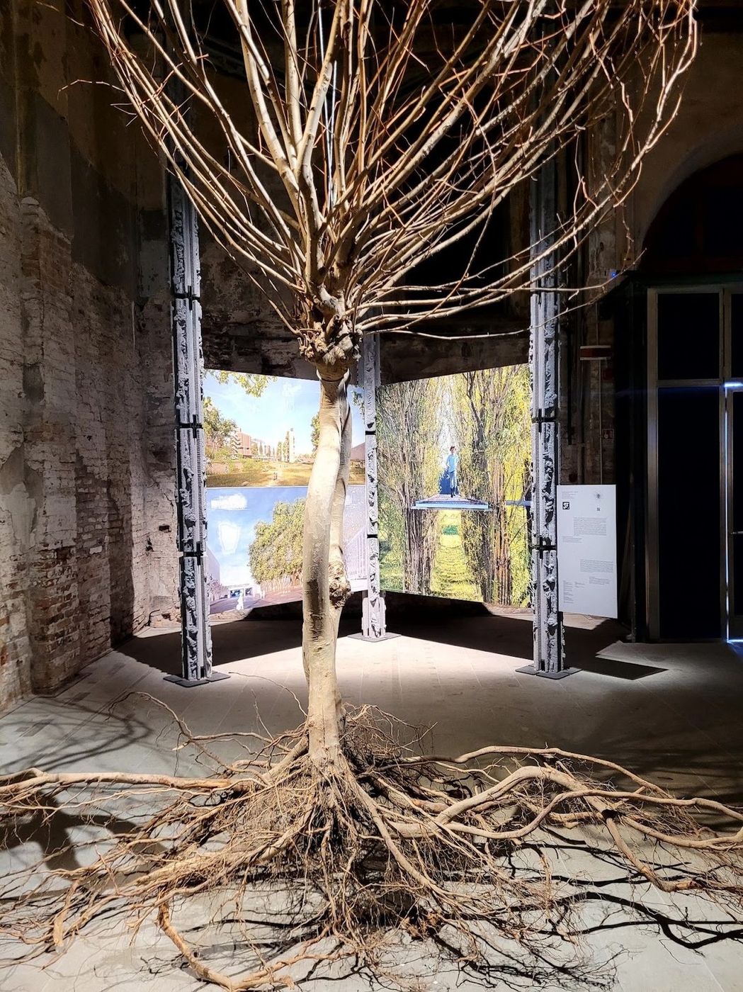 Venice Biennale 25